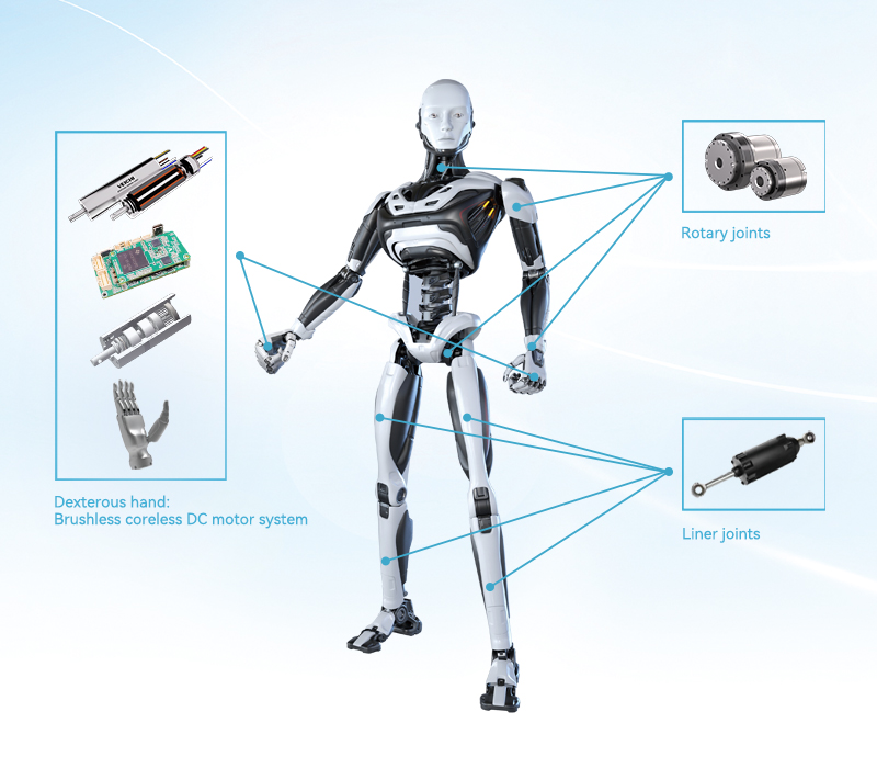 Humanoid Robot