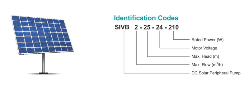 Identification Codes